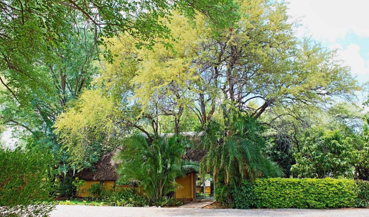 Divundu Guest House מראה חיצוני תמונה